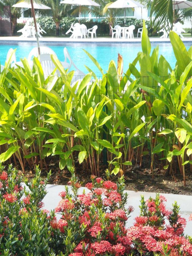 Palm Village Acqua - Apartamento Premium - Em Frente A Piscina - Porto De Galinhas Luaran gambar